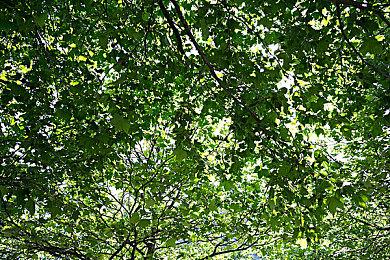 真最后一次！《哈迪斯2》抢先体验11号补丁更新上线